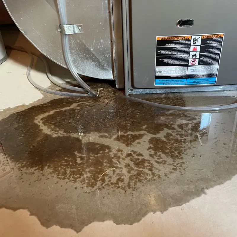 Pipe Burst and Leak Restoration in Heritage Hills, NY